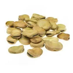 فول كبير 500g