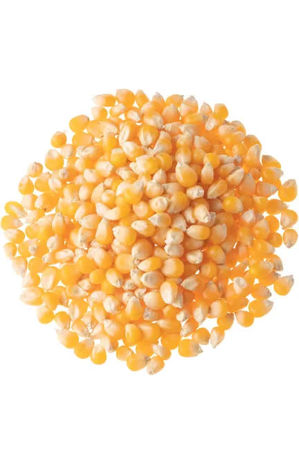 ذره500g