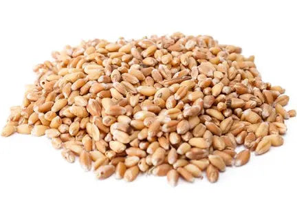 قمح 500g